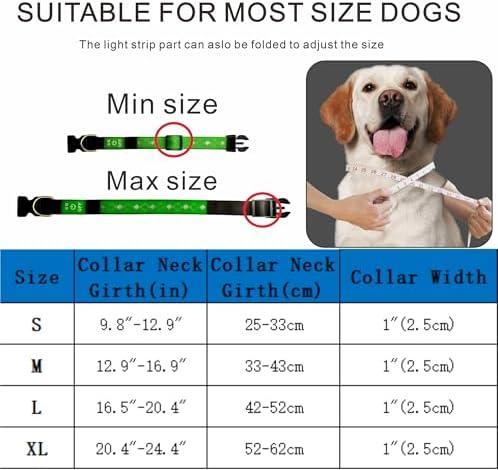 Personalized Flashing Dog Collar with Laser Engraved ID Tag