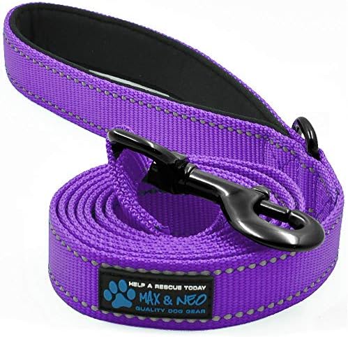 Max and Neo Small Dog Leash - Reflective Nylon, Donates to Dog Rescue (Purple, 6x5/8)