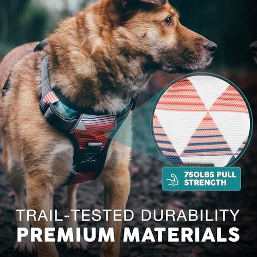 Embark No Pull Dog Harness, Reflective Adjustable Training Vest, No Choke