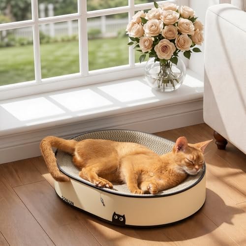 Conlun Oval Cat Scratcher Bed | Scratching Bowl Lounge for Kittens | Medium