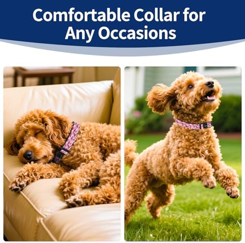 Kazazoo Small Dog Collar,Reflective Puppy Collar with Soft Padding Dog Collar No Pull,Lightweight, Nylon Collar for Puppies, Bichon Frisé, Papillon & Poodle Dogs 5-15 Lbs-Pink camo-S
