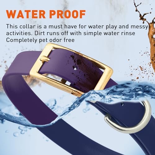 Viper Biothane Heavy Duty Waterproof Dog Collar Strong Coated Nylon Webbing w/Solid Brass Hardware Odor-Proof Easy to Clean High Performance Fits Small Medium or Large Dogs, Violet Purple