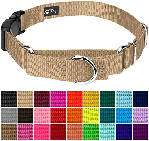 Martingale Dog Collar - Heavy Duty Nylon Adjustable Martingale Dog Collar with Plastic Buckle for Small Medium Large Breeds - 30+ Colors (1 Inch, Extra Large, Copper Gold)