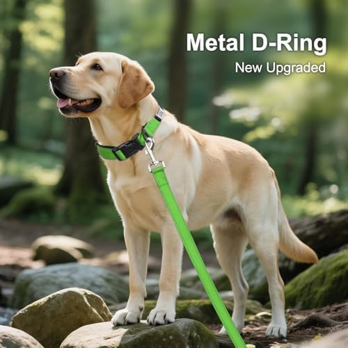 Joytale Personalized Dog Collar with Name Plate Built-in for Large Dogs