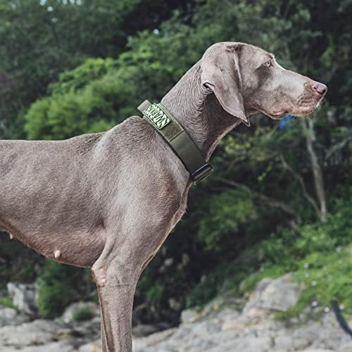 OneTigris Tough Tactical Dog Collar for Small Dogs with Handle Green S
