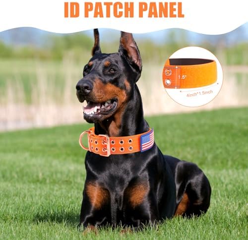 Heavy Duty Dog Collar for Medium Large Dogs, Orange, Large