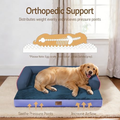 Comfort Expression Orthopedic XL Dog Bed for Large and Extra Large Dogs