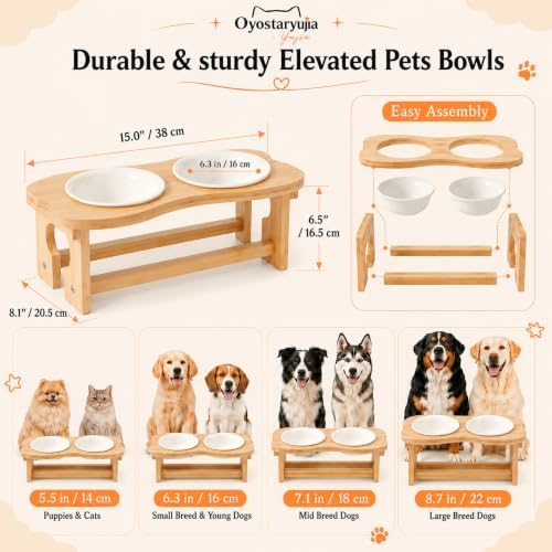 Bone Elevated 6.1" Ceramic Small Dog Bowls, Tilted Dog Bowl Stand