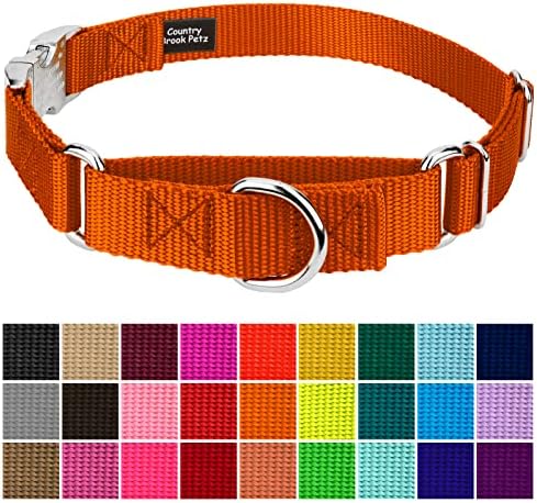 Country Brook Petz - Martingale Dog Collar - Heavy Duty Nylon Adjustable Martingale Dog Collar with Metal Buckle for Small Medium Large Breeds - 30+ Color Options (1 Inch, Medium, Orange)