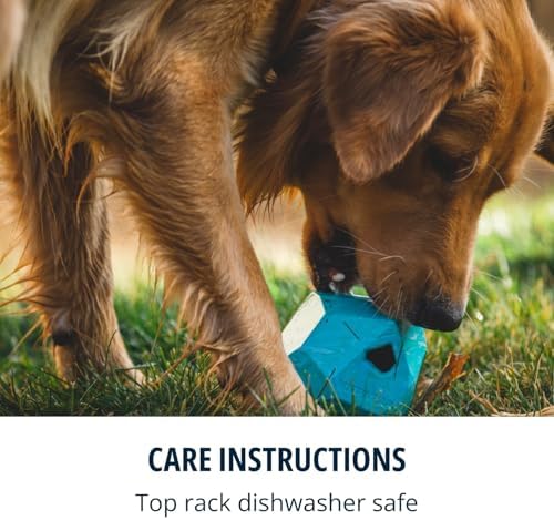 Ruffwear, Gnawt-a-Rock, Interactive Dog Toy, Glacial Blue