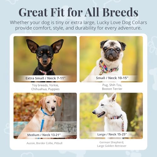 Lucky Love Dog Collar and Leash Set for Small Dogs – Blue Laguna, Small