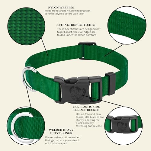 Country Brook Petz - Everyday Nylon Dog Collar for Large, Medium, and Small Dogs and Puppies - for Everyday Use in 30+ Colors (Small, 3/4 Inch Wide, Christmas Green)