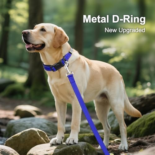 Joytale Personalized Dog Collar with Name Plate Built-in for Large Dogs
