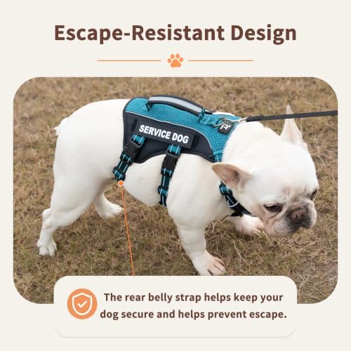 Huntboo Service Dog Vest Harness, Escape Proof Harness with 6 Patches, No-Pull, Reflective Harness with Handle, Adjustable for Small to Large Dogs, for Training and Hiking (Teal, L)