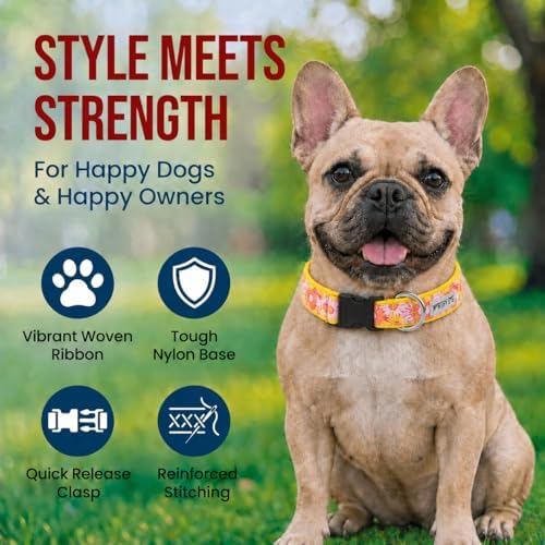 THE WORTHY DOG Summer Print, Adjustable Dog Collar,Medium Dogs, Floral