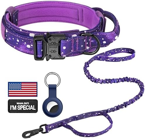 DAGANXI Tactical Dog Collar, Adjustable Military Training Nylon Dog Collar with Control Handle and Heavy Metal Buckle for Medium and Large Dogs, with Patches and Airtags Case (S, Purple Sky-Set)