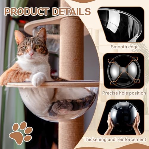 Yalikop 6 Pcs Cat Acrylic Dome Bubble, 11.8 Inch Space Transparent Capsule