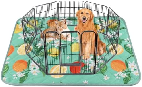 BVAGSS Washable Pee Pads for Dogs, 1 Pack Reusable Leakproof Puppy Wee Wee Pad, Non-Slip Waterproof Pet Training Pads, Super Absorbent Whelping Pads XH081 (Green Lemon, 63X63 Inch (Pack of 1))