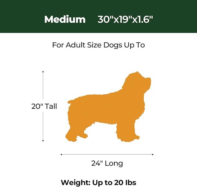 BALANCE Dog Crate Bed, Orthopedic Dog Bed Pad with Waterproof Liner, Washable Crate Foam Pet Mat for Large, Medium, Puppy Dogs Breeds, Mint Leaf, 30"x19"x1.6"