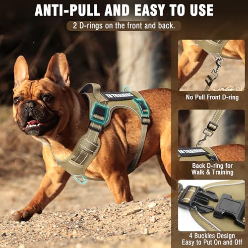 Tactical Dog Harness and Leash Set Medium Sized Dog+10 Dog Patches