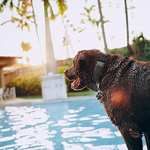 Dog Collar Waterproof Pet Collars,Neck Adjustable Silicone Dog Collar with Strong Coated Webbing and Cute Metal Pendant for Boy Girls Dog Collars S/M/L Sizes