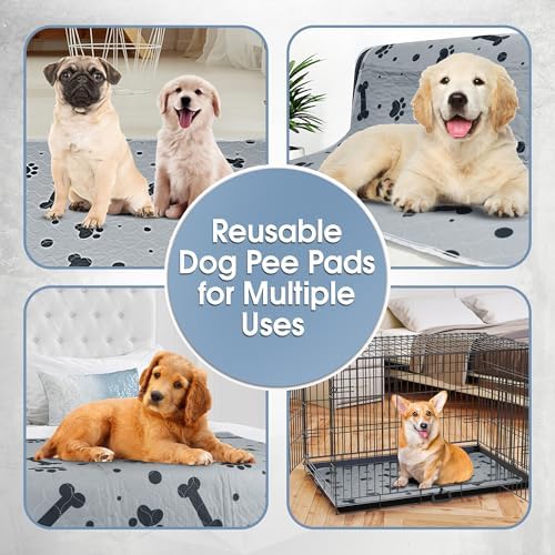Reusable Dog Training Pads 2 Packs 72’’ x 72’’ Washable Puppy Pads Extra Large Pet Mats for Floor Waterproof Heavy Absorbent Dog Crate Liner for Indoor Use and Large Breed Protection