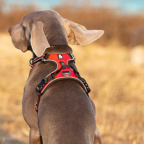 WINHYEPET True Love No Pull Dog Harness Extra Reflective Pet Harness for Small Medium Large Dogs Adjustbale for Running Walking Padded Soft Mesh Vest Easy Control TLH56512(Red,L)