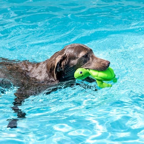 Fringe Studio Snappy Floating Dog Toys, Pet Shop Collection (640008)