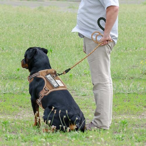 Beebiepet Heavy Duty Tactical Dog Harness for Small Dogs, No Pull Adjustable Pet Harness Reflective Service Training Easy Control Pet Vest Military K9 Working Dog Harnesses- Large, Brown