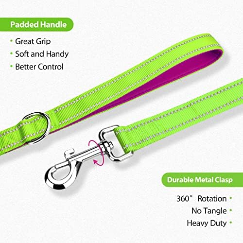 PHOEPET 5 Feet Dog Leash with Comfortable Padded Handle Easy Snap Clasp