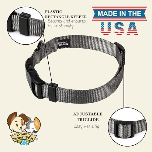 Country Brook Petz - Everyday Nylon Dog Collar for Large, Medium, and Small Dogs and Puppies - for Everyday Use in 30+ Colors (Small, 3/4 Inch Wide, Charcoal)