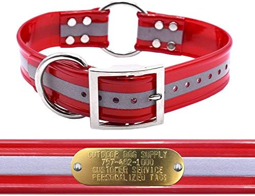 Reflective D & Center Ring 1.5" Dog Collar w Custom Nametag, Red