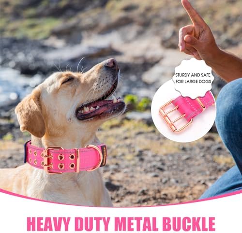 Heavy Duty Dog Collar for Medium Large Dogs,Pink,Medium