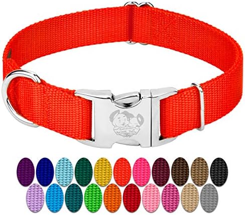 Country Brook Petz - Premium Nylon Dog Collar with Metal Buckle for Small Medium Large Breeds - 30+ Colors (Extra Large, 1 Inch, Hot Orange)