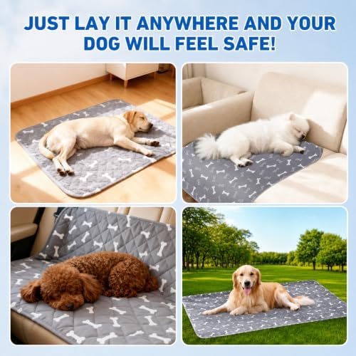 Puppy Pads with Pheromones,Washable Puppy Pee Pads for Dogs,Reusable Puppy Pads Washable for Dogs & Cats,Washable,Durable Leak-Proof & Anti-Slip Pet Training Pads for Home & Trave