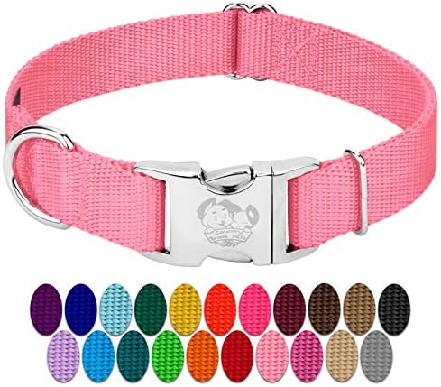 Country Brook Petz - Premium Nylon Dog Collar with Metal Buckle for Small Medium Large Breeds - 30+ Colors (Medium, 3/4 Inch, Pink)