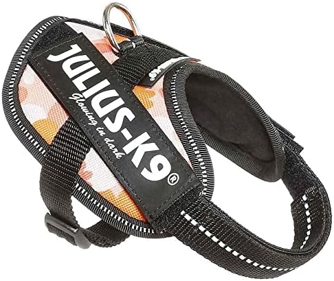 Julius-K9, 16IDC-PNF-2, IDC Powerharness, Dog Harness, Size: 2, Pink with Flowers