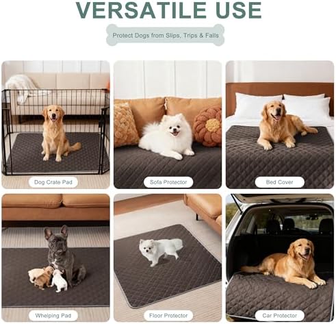 Eterish Washable Pee Pads for Dogs Extra Large 48'' x 60'' 2 Pack