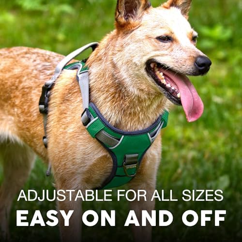 Embark No Pull Dog Harness, Reflective Adjustable Training Vest, No Choke