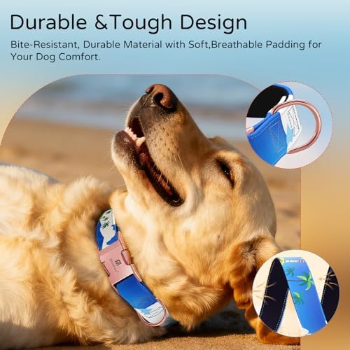 Reflective Dog Collar for Small Dogs, Artistic Design Hawaii-S