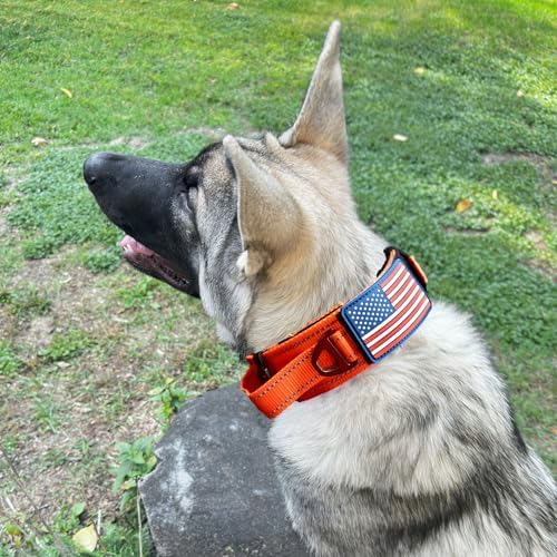 2-Inch Wide Tactical Dog Collar with Control Handle, Adjustable for Medium & Large Dogs, Military Style with Heavy-Duty Metal Buckle, USA Flag Patch & Customizable Name Plate, Training & Everyday Use