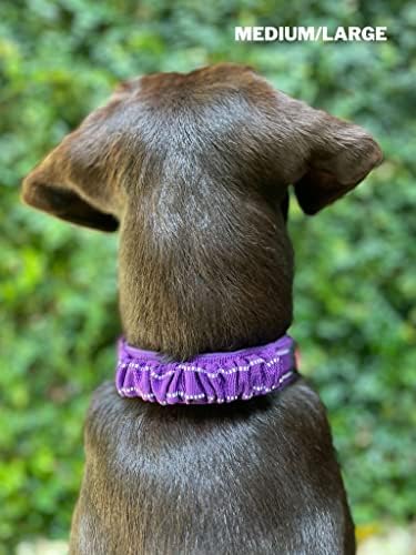 Tuff Pupper Heavy Duty Dog Collar with Handle | Ballistic Nylon Heavy Duty Collar | Padded Reflective Dog Collar with Adjustable Stainless Steel Hardware | Convenient Sizing for All Breeds