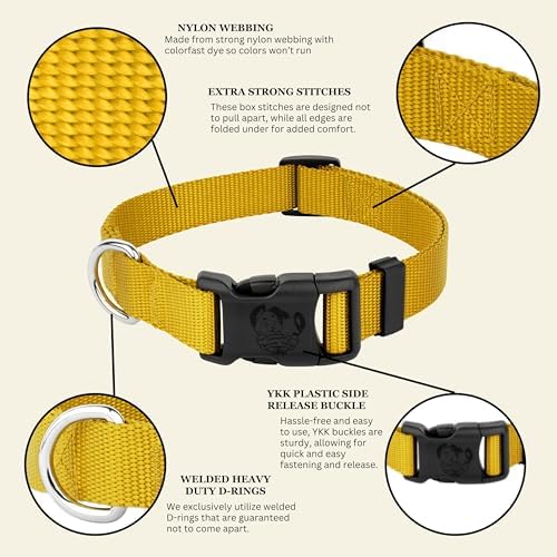 Country Brook Petz - Everyday Nylon Dog Collar for Large, Medium, and Small Dogs and Puppies - for Everyday Use in 30+ Colors (Large, 1 Inch Wide, Gold)