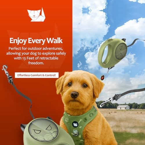 Retractable Dog Leash – 13ft Strong Nylon Tape, Auto-Locking, Tangle-Free, One-Touch Brake, Comfortable Grip – Fun Halloween Design for Small Dogs up to 33 lbs, Haminway Cheeky Imp Design