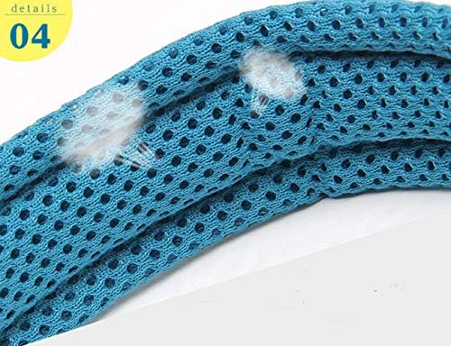 True Love Padded Reflective Breathable Nylon Dog Collar, Blue, L