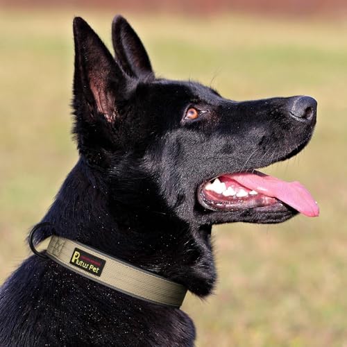 Plutus Pet Tactical Dog Collar, Reflective, Adjustable Heavy Duty Dog Collar, Soft Padded and Comfortable, for Small Medium and Large Dogs (Beige, M)