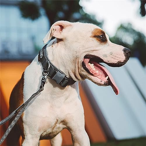 EXCELLENT ELITE SPANKER Tactical Nylon Padded Medium Dog Collar Adjustable