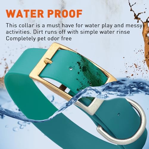 Viper Biothane Heavy Duty Waterproof Dog Collar Strong Coated Nylon Webbing w/Solid Brass Hardware Odor-Proof Easy to Clean High Performance Fits Small Medium or Large Dogs, Blue Aqua