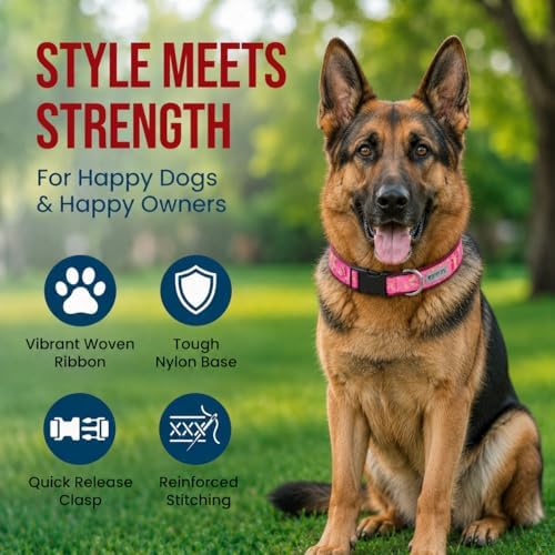 THE WORTHY DOG Summer Print, Adjustable Dog Collar, Large Dogs, Medallion