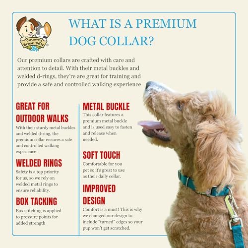 Country Brook Petz - Premium Nylon Dog Collar with Metal Buckle for Small Medium Large Breeds - 30+ Colors (Extra Large, 1 Inch, Teal)